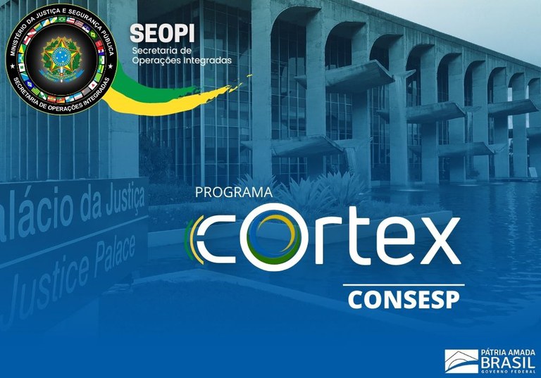 Cortex